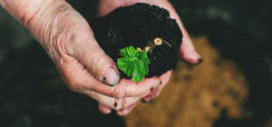 Nachhaltigkeit und Regionalität zählen
